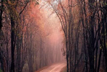 Bitcoin: Beyond the Headlines, Towards a Digital Renaissance