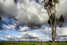 Bitcoin: Beyond the Headlines, Towards a Digital Renaissance