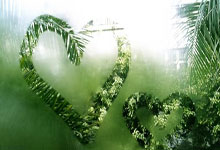 Bitcoin: Beyond the Headlines, Towards a Digital Renaissance