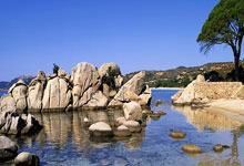 Bitcoin: Beyond the Headlines, Towards a Digital Renaissance